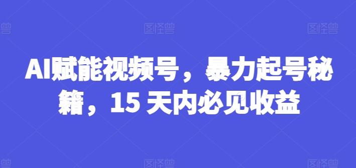 AI赋能视频号，暴力起号秘籍，15 天内必见收益【揭秘】-百货大全