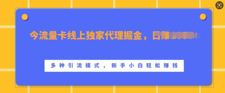 流量卡线上独家代理掘金，日入1k+ ，多种引流模式，新手小白轻松上手【揭秘】-百货大全