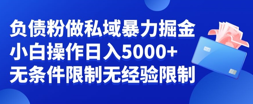 负债粉私域暴力掘金，小白操作入5000，无经验限制，无条件限制【揭秘】-百货大全