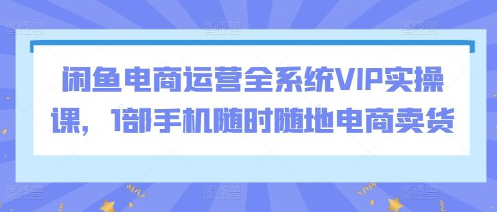 闲鱼电商运营全系统VIP实操课，1部手机随时随地电商卖货-百货大全
