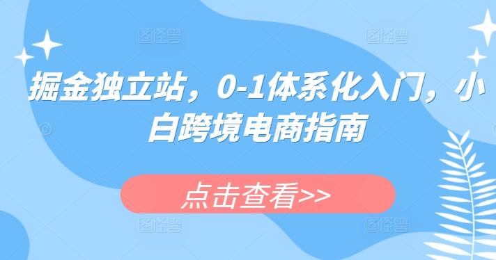 掘金独立站，0-1体系化入门，小白跨境电商指南-百货大全