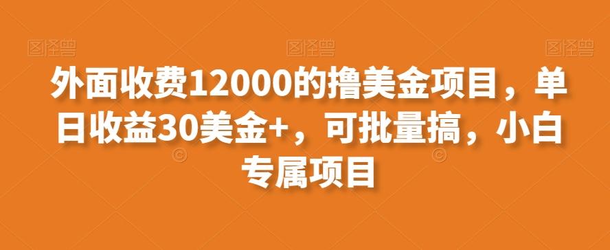 外面收费12000的撸美金项目，单日收益30美金+，可批量搞，小白专属项目-百货大全