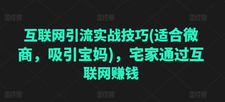 互联网引流实战技巧(适合微商，吸引宝妈)，宅家通过互联网赚钱-百货大全