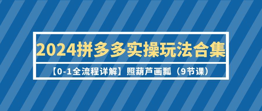 (9559期)2024拼多多实操玩法合集【0-1全流程详解】照葫芦画瓢(9节课)-百货大全