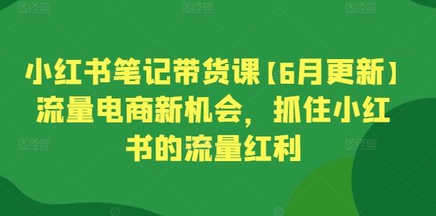 小红书笔记带货课【6月更新】流量电商新机会，抓住小红书的流量红利-百货大全