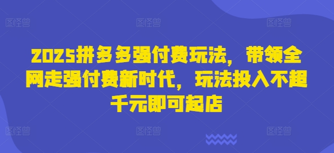 2025拼多多强付费玩法，带领全网走强付费新时代，玩法投入不超千元即可起店-百货大全