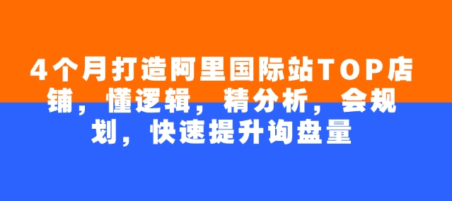 4个月打造阿里国际站TOP店铺，懂逻辑，精分析，会规划，快速提升询盘量-百货大全