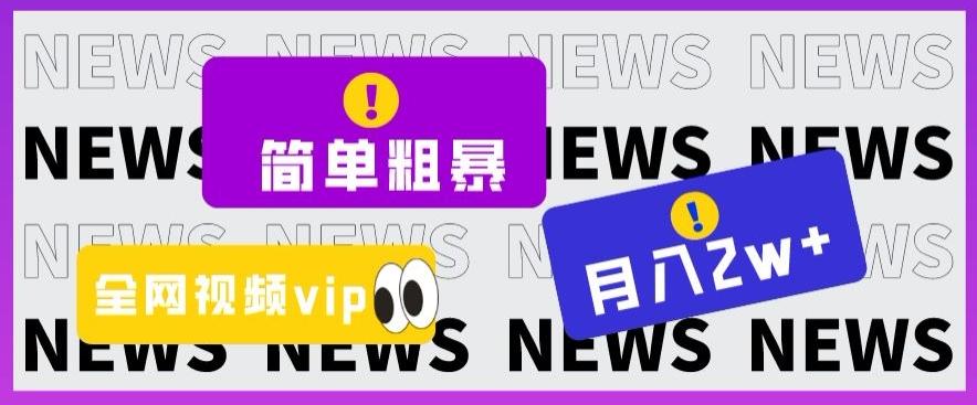 简单粗暴零成本，高回报，全网视频VIP掘金项目，月入2万＋【揭秘】-百货大全