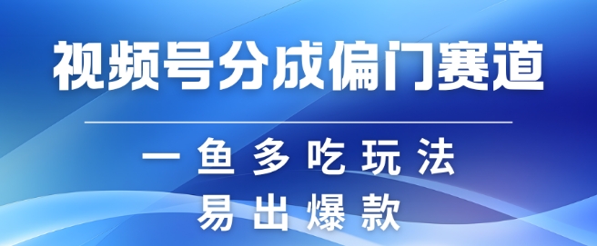 视频号创作者分成计划偏门类目，容易爆流，实拍内容简单易做【揭秘】-百货大全