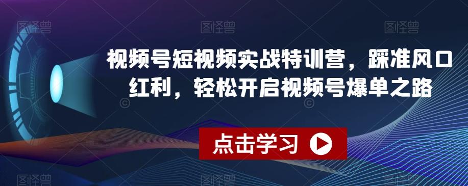 视频号短视频实战特训营，踩准风口红利，轻松开启视频号爆单之路-百货大全