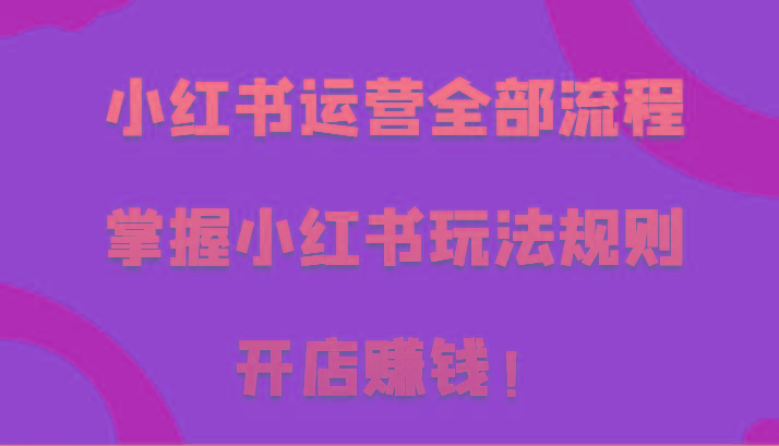 小红书运营全部流程，掌握小红书玩法规则，开店赚钱！-百货大全