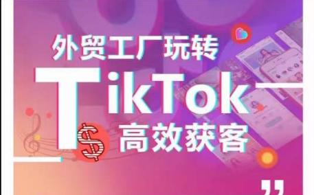 外贸工厂玩转TikTok高效获客，多种引流方式与账号定位技巧，拆解爆款短视频打造成功案例-百货大全