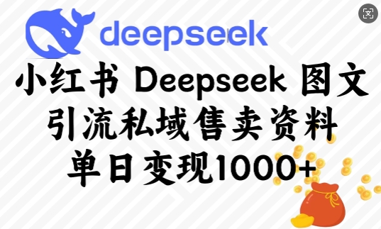 小红书Deepseek图文引流私域售卖资料，单日变现多张-百货大全