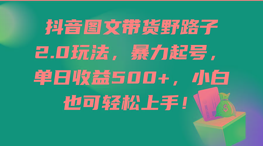 (9790期)抖音图文带货野路子2.0玩法，暴力起号，单日收益500+，小白也可轻松上手！-百货大全