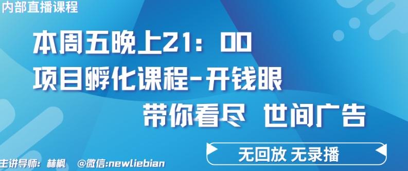4.26日内部回放课程《项目孵化-开钱眼》赚钱的底层逻辑【揭秘】-百货大全