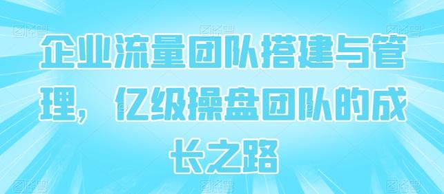 企业流量团队搭建与管理，亿级操盘团队的成长之路-百货大全