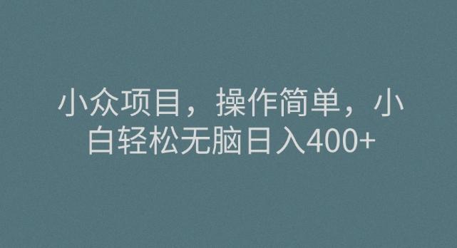小众项目，操作简单，小白轻松无脑日入400+-百货大全