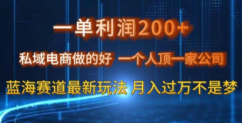 一单利润200私域电商做的好，一个人顶一家公司蓝海赛道最新玩法【揭秘】-百货大全