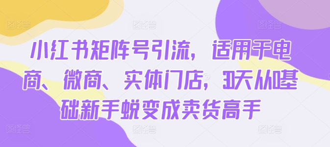 小红书矩阵号引流，适用于电商、微商、实体门店，30天从0基础新手蜕变成卖货高手-百货大全