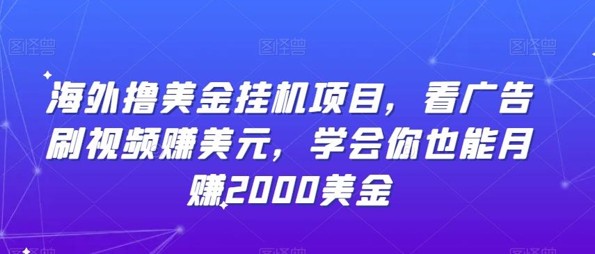 海外撸美金挂机项目，看广告刷视频赚美元，学会你也能月赚2000美金-百货大全