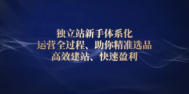 独立站新手体系化 运营全过程，助你精准选品、高效建站、快速盈利-百货大全