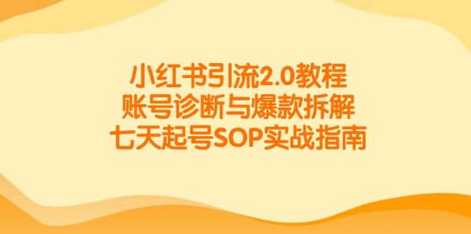 小红书引流2.0教程，账号诊断与爆款拆解，七天起号SOP实战指南-百货大全