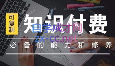 君哥·IP合伙人知识付费虚拟项目(更新24年6月)-百货大全