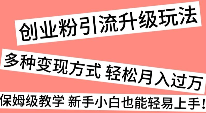 创业粉引流升级玩法，多种变现方式轻松月入过万，保姆级教学新手小白也能轻易上手！-百货大全