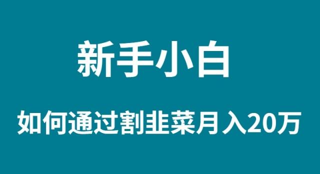(9308期)新手小白如何通过割韭菜月入 20W-百货大全