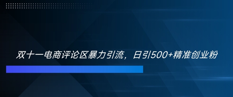 双十一电商评论区暴力引流，日引500+精准创业粉【揭秘】-百货大全
