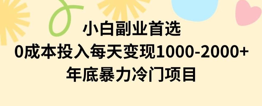 小白副业首选，0成本投入，每天变现1000-2000年底暴力冷门项目【揭秘】-百货大全