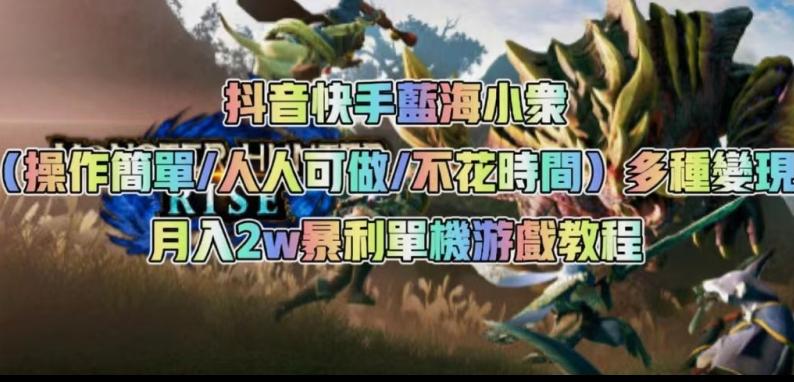 抖音快手蓝海小众（操作简单人人可做不花时间）多种变现月入2w＋暴利单机游戏教程-百货大全