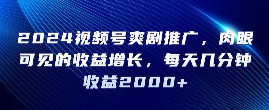2024视频号爽剧推广，肉眼可见的收益增长，每天几分钟收益2000+【揭秘】-百货大全