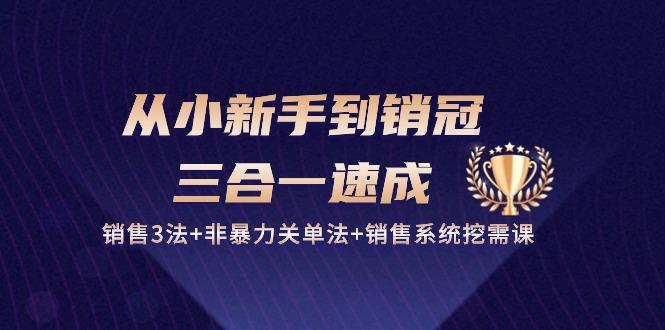 从小新手到销冠 三合一速成：销售3法+非暴力关单法+销售系统挖需课 (27节-百货大全