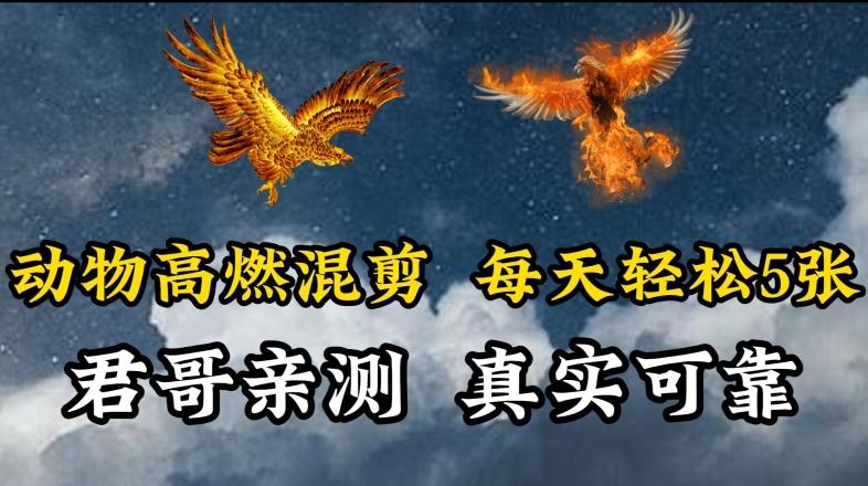 动物超燃混剪，每天轻松5张，剪辑简单大家爱看【揭秘】-百货大全