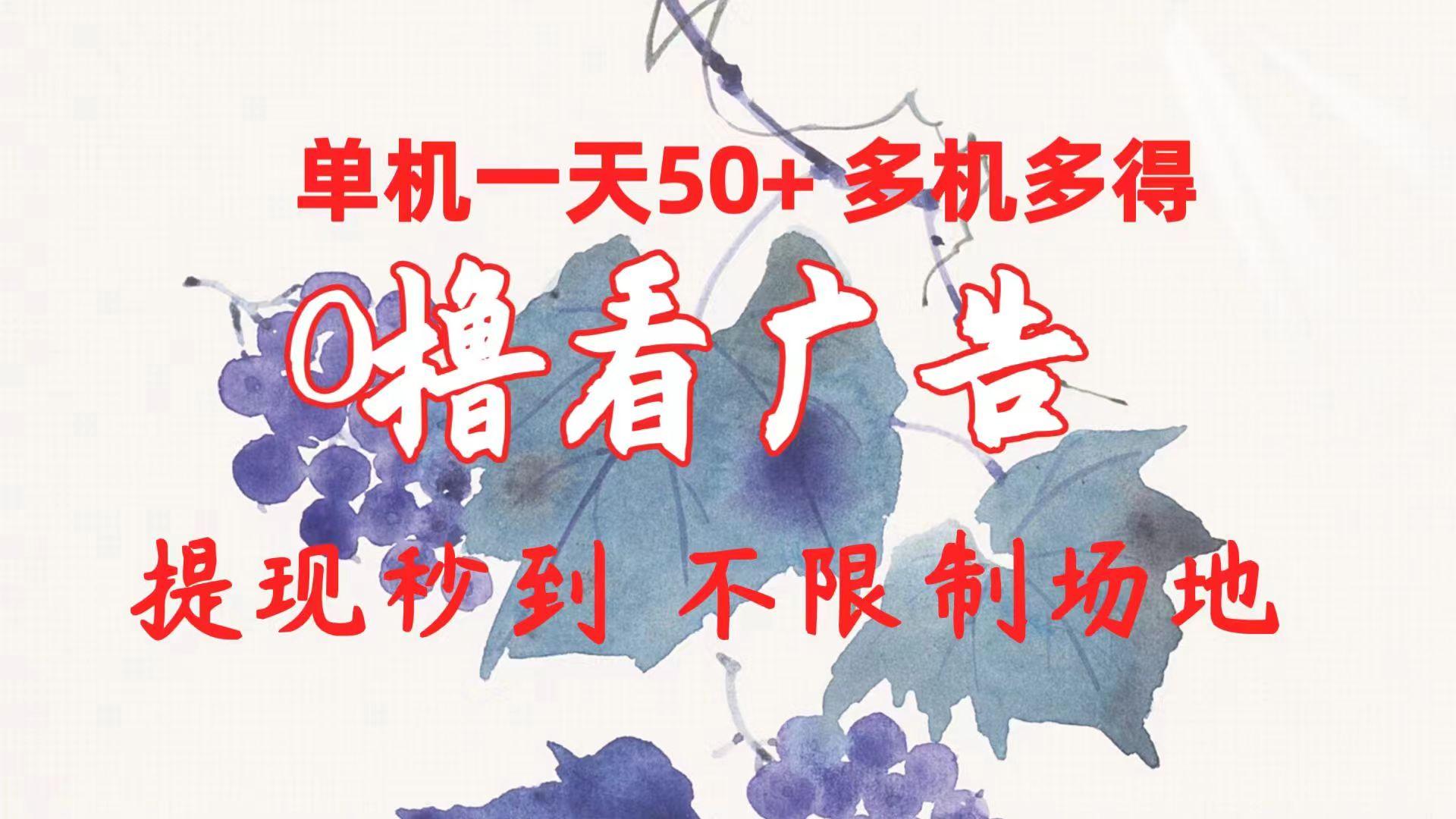 0撸看广告 单机一天50+多机多得 提现秒到 不限制场地操作-百货大全