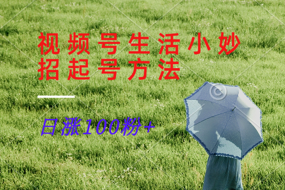 视频号生活小妙招分享赛道， 起号涨粉新方法，日涨100粉-百货大全