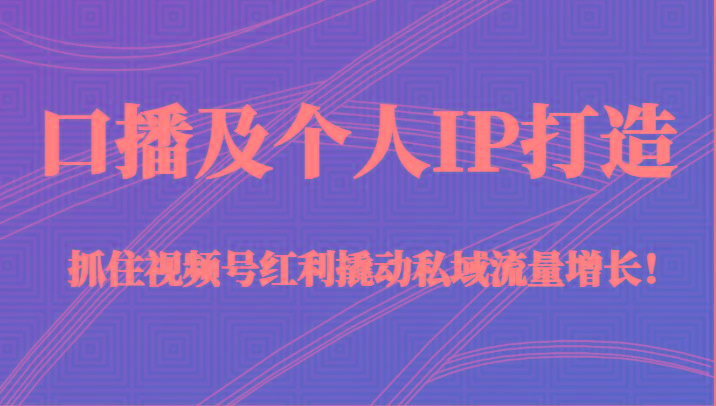 口播及个人IP打造，抓住视频号红利撬动私域流量增长！（45节课）-百货大全