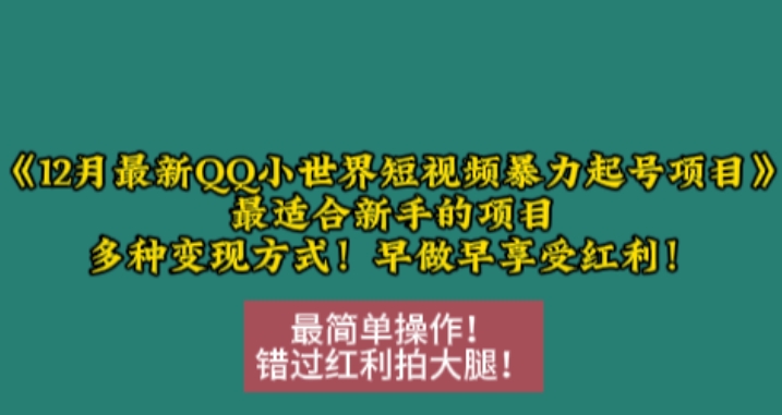 12月最新QQ小世界短视频暴力起号项目，最适合新手的项目，多种变现方式-百货大全