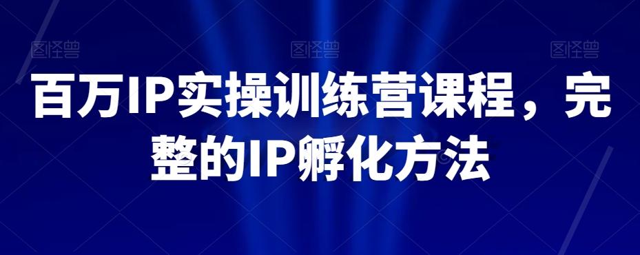 百万IP实操训练营课程，完整的IP孵化方法-百货大全
