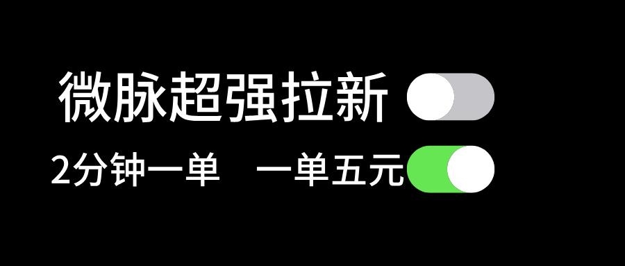 微脉超强拉新， 两分钟1单， 一单利润5块，适合小白-百货大全