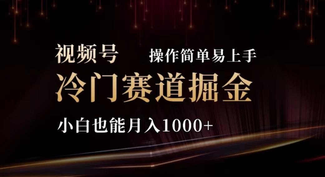 2024视频号冷门赛道掘金，操作简单轻松上手，小白也能月入1000+-百货大全