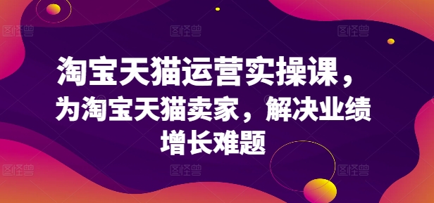 淘宝天猫运营实操课，为淘宝天猫卖家，解决业绩增长难题-百货大全