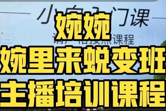 婉婉·婉里来蜕变班（主播课）全方位理解底层逻辑并灵活运用-百货大全