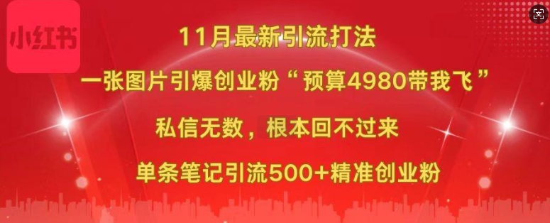 小红书11月最新图片打粉，一张图片引爆创业粉，“预算4980带我飞”，单条引流500+精准创业粉-百货大全