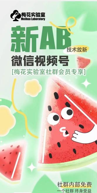 梅花实验室2024年AB技术视频号AB合成破解版-百货大全