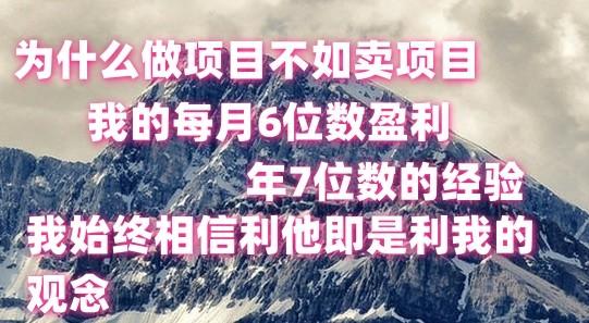 做项目不如卖项目，每月6位数盈利，年7位数经验-百货大全