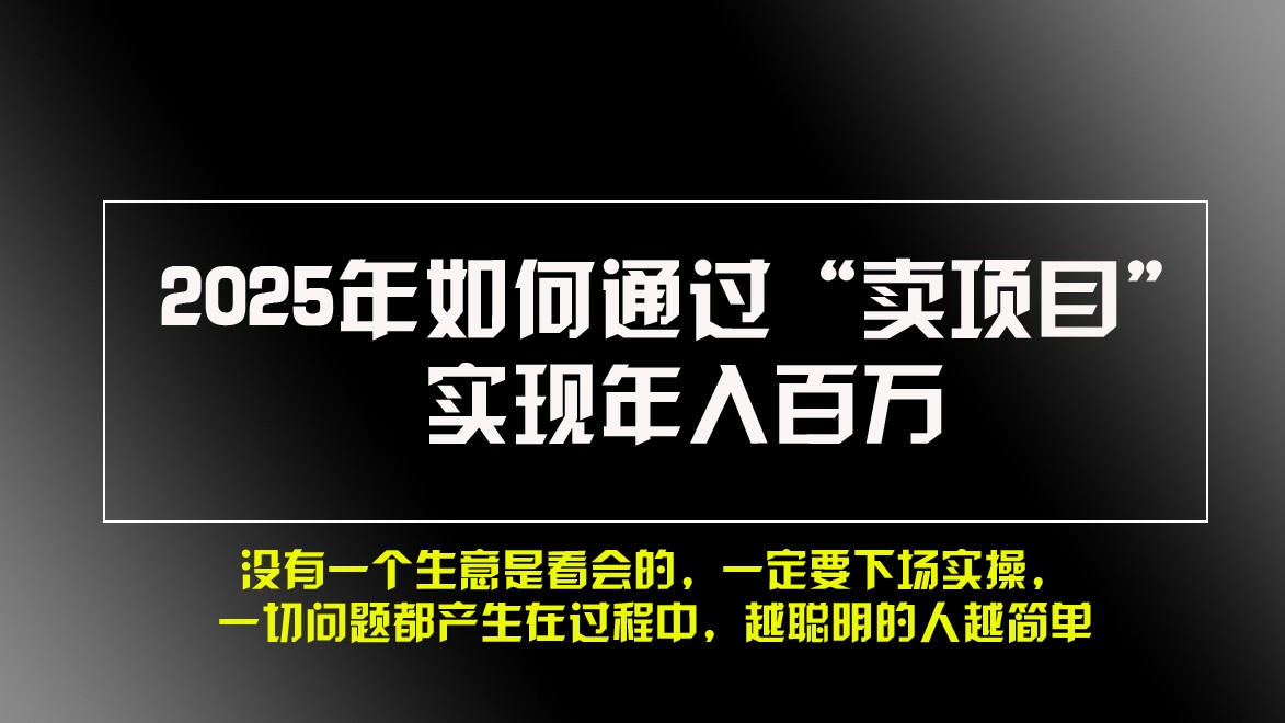 2025年如何通过“卖项目”实现年入百万-百货大全