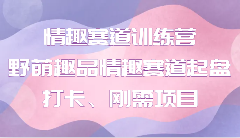 情趣赛道训练营 野萌趣品情趣赛道起盘打卡、刚需项目-百货大全