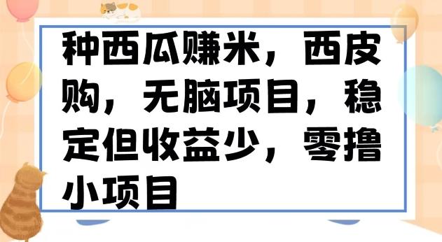 种西瓜赚米，西皮购稳定长久零撸小项目-百货大全